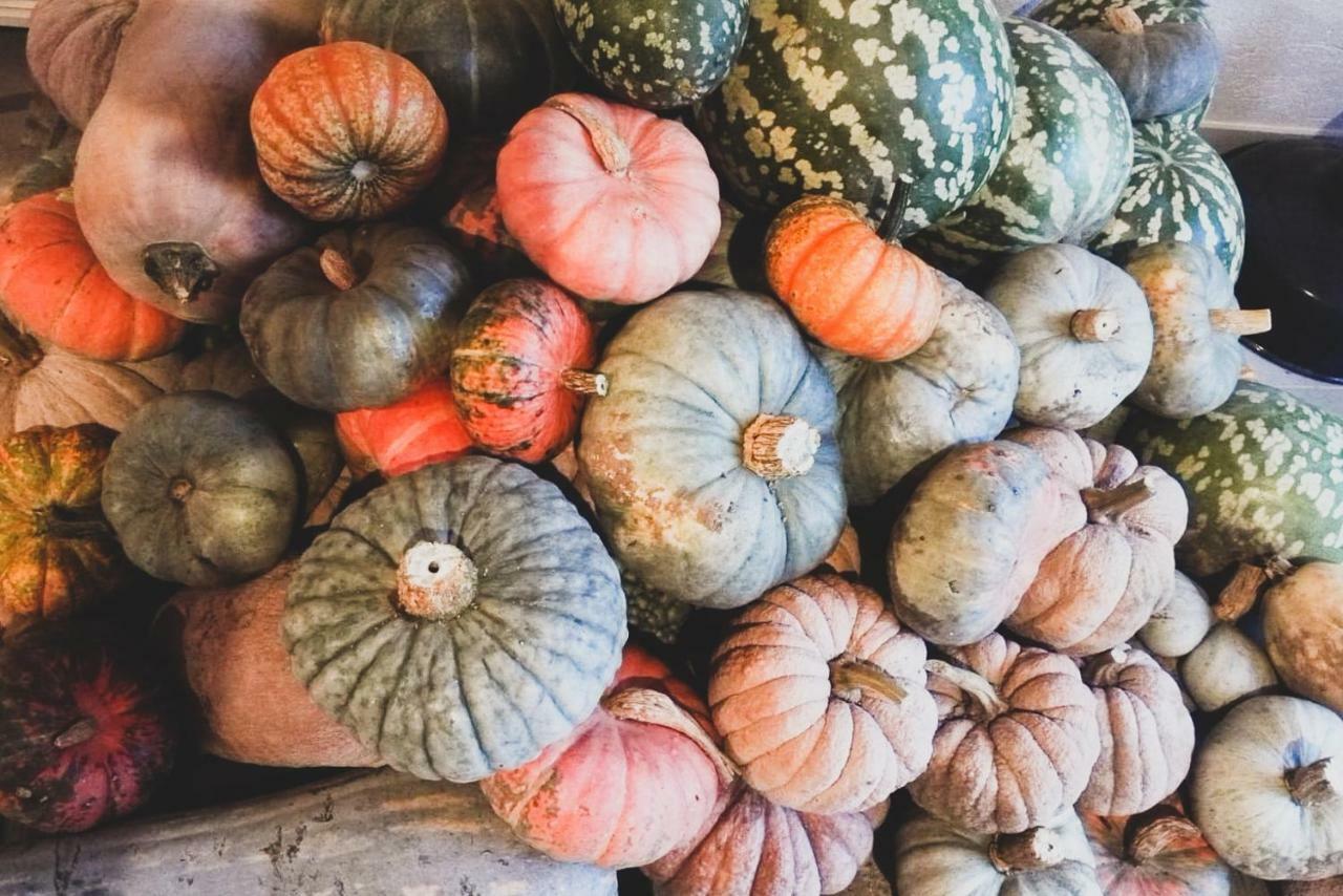 Agriturismo Fiori Di Zucca ฟอสซาโน ภายนอก รูปภาพ