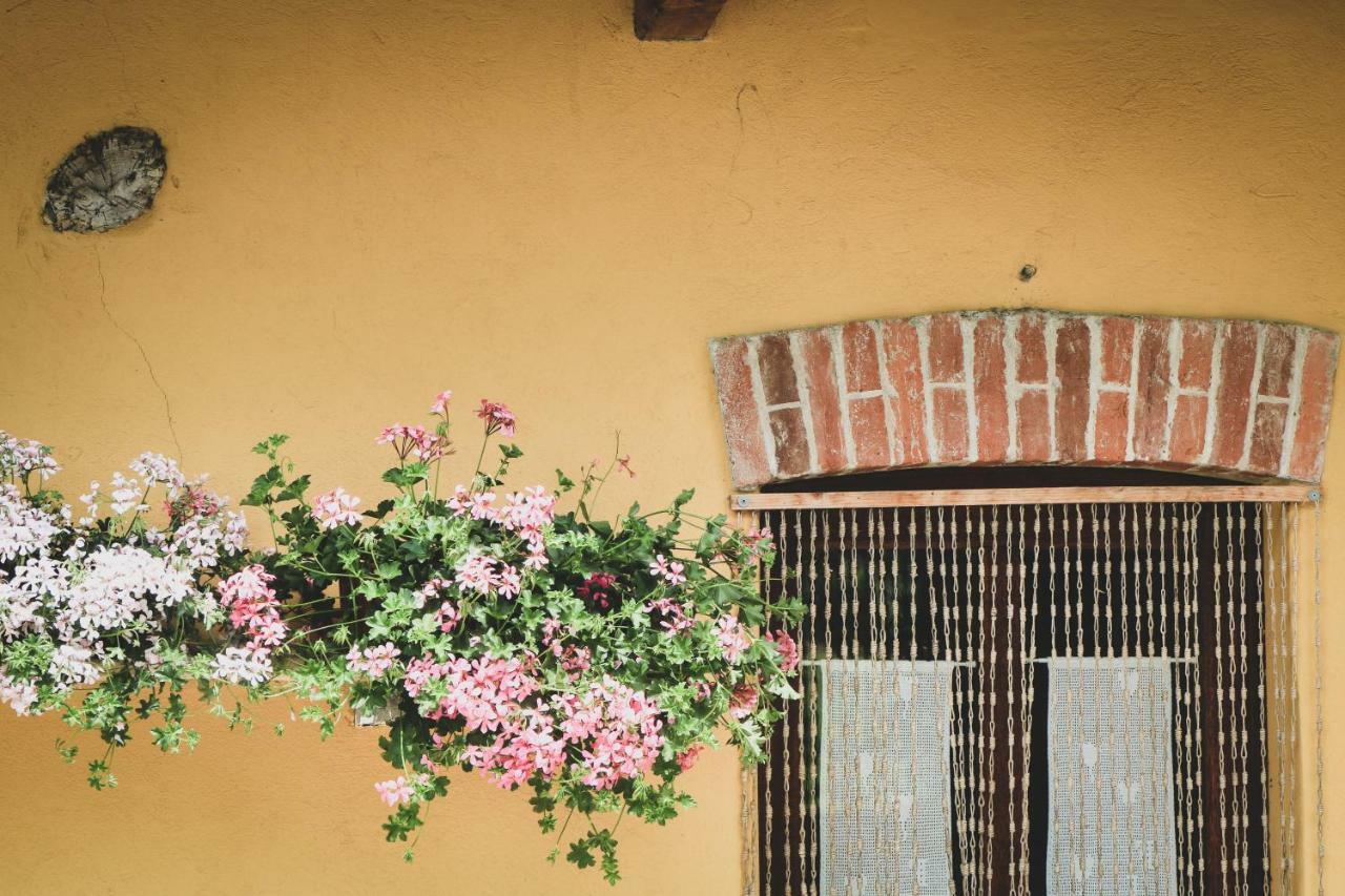 Agriturismo Fiori Di Zucca ฟอสซาโน ภายนอก รูปภาพ