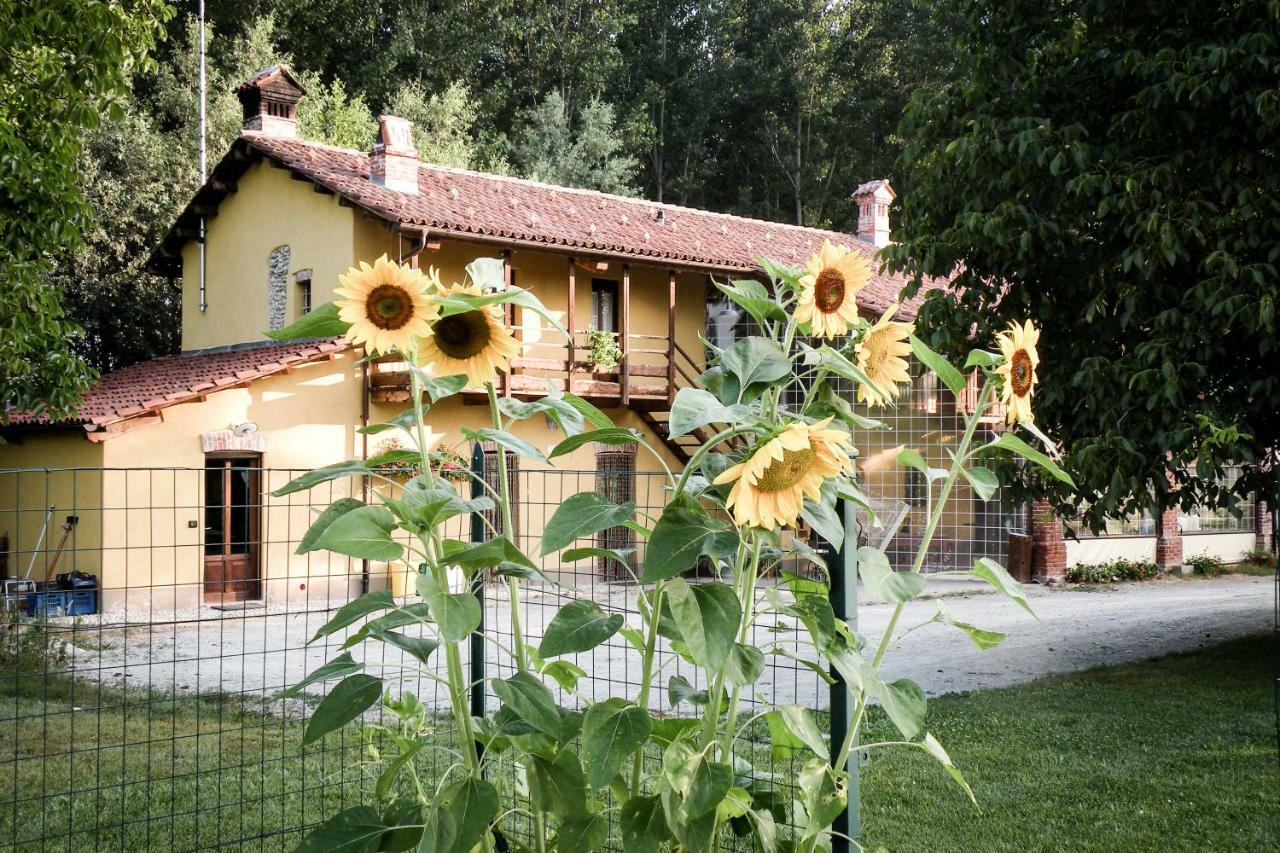 Agriturismo Fiori Di Zucca ฟอสซาโน ภายนอก รูปภาพ